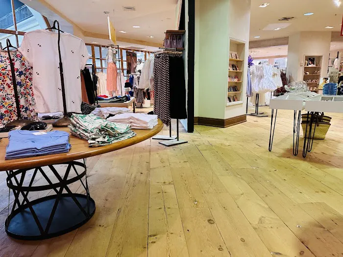 Anthropologie 5