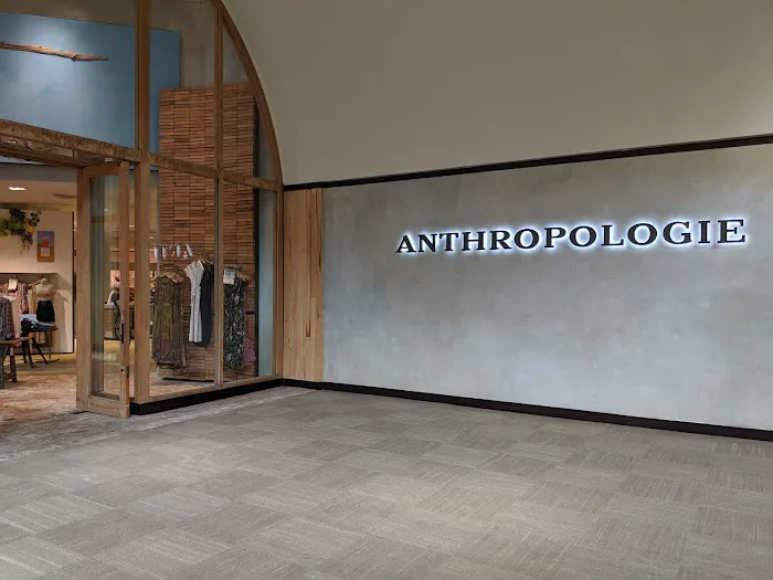 Anthropologie 3