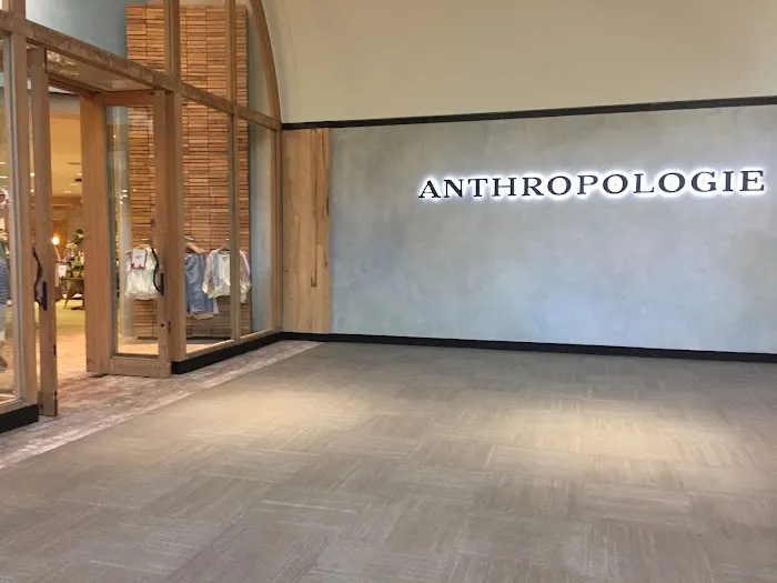 Anthropologie 7