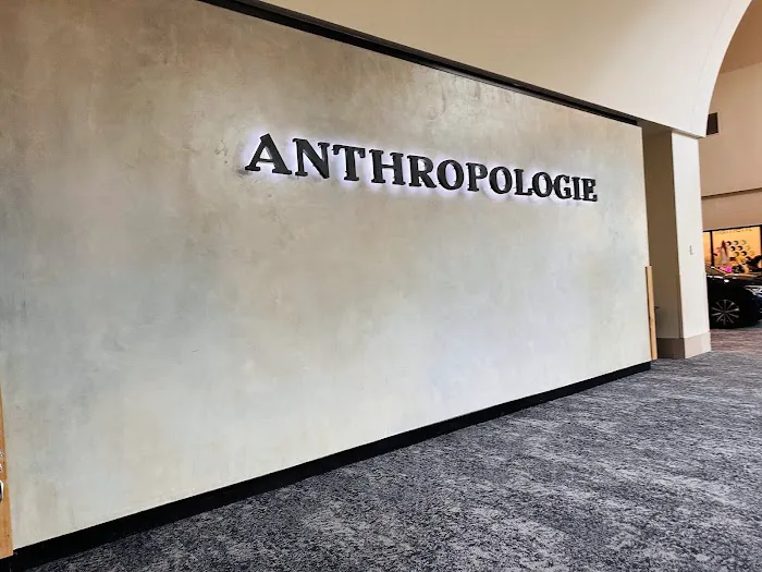 Anthropologie 6