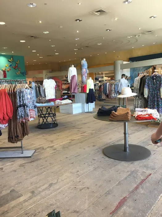 Anthropologie 1