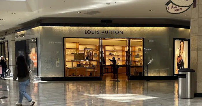 Louis Vuitton Pittsburgh Ross Park 3