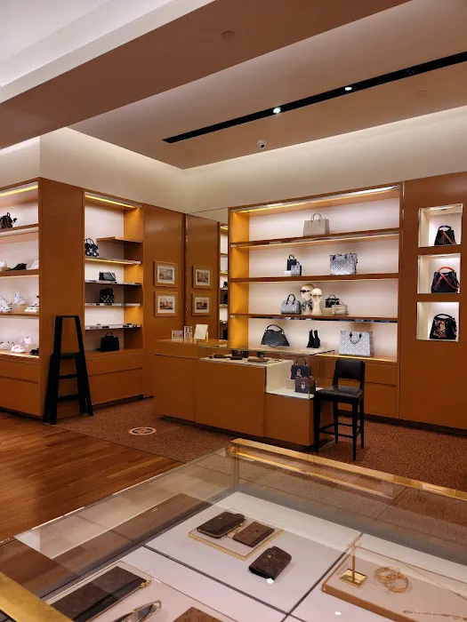 Louis Vuitton Pittsburgh Ross Park 4