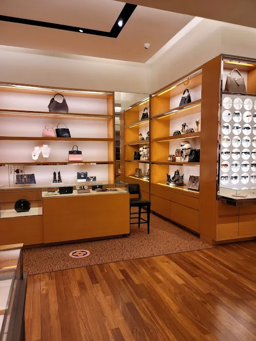 Louis Vuitton Pittsburgh Ross Park 7
