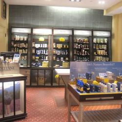 L'OCCITANE EN PROVENCE ico
