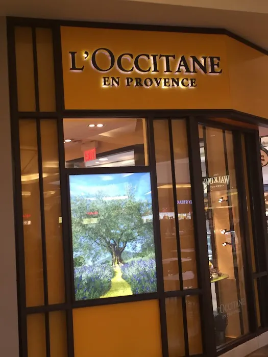 L'OCCITANE EN PROVENCE 5