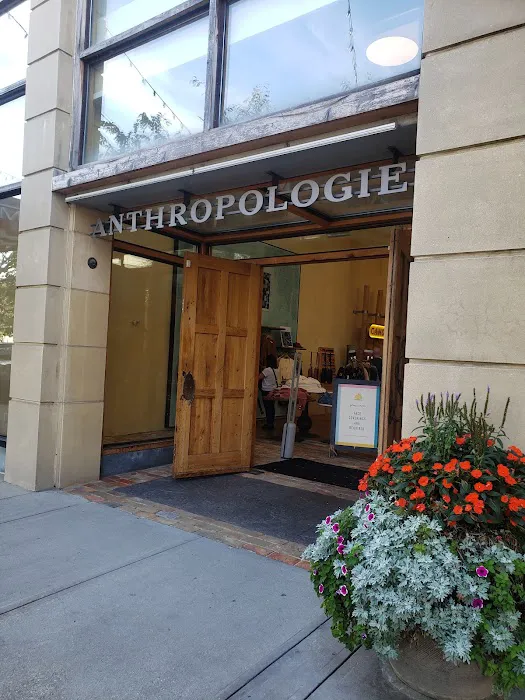 Anthropologie 1