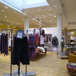 Anthropologie ico