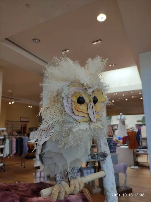 Anthropologie 2