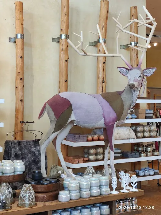 Anthropologie 3