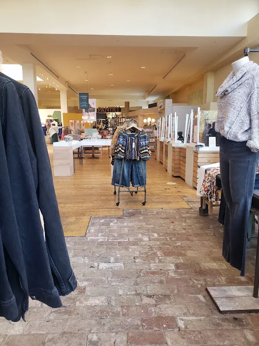 Anthropologie 5