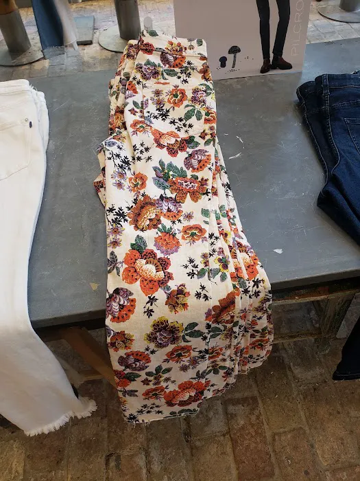 Anthropologie 7