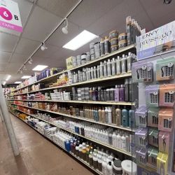 Model Beauty Supply 2 ico