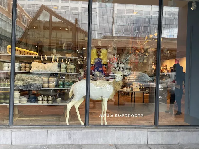 Anthropologie 9