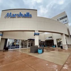 Marshalls ico