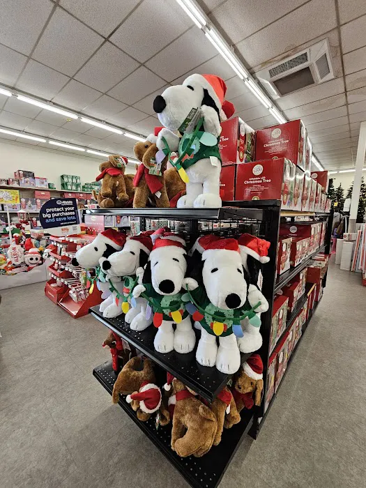 Big Lots 1