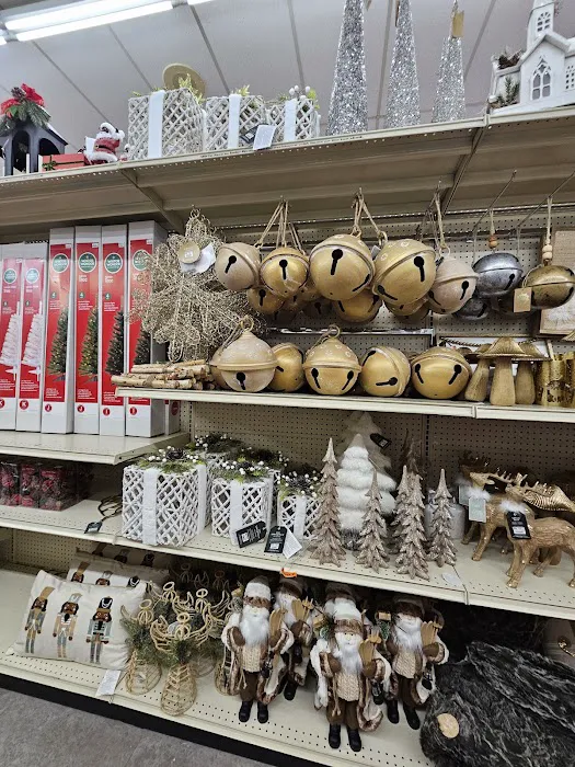 Big Lots 3