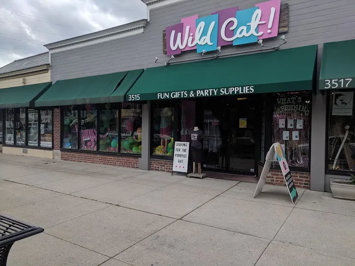 Wild Cat Gift & Party! (formerly Wholly Craft) 7