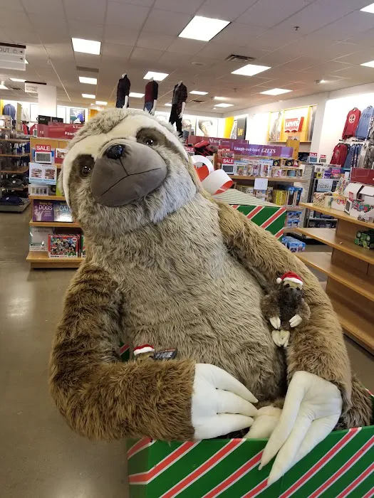 Kohl's 2