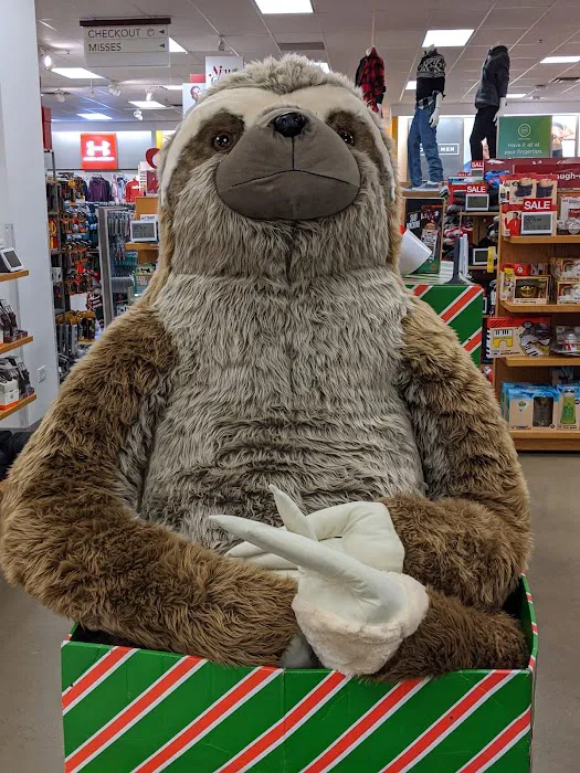 Kohl's 8