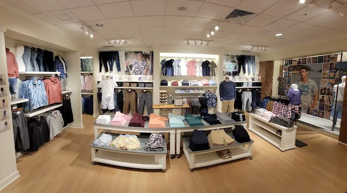 American Eagle 8