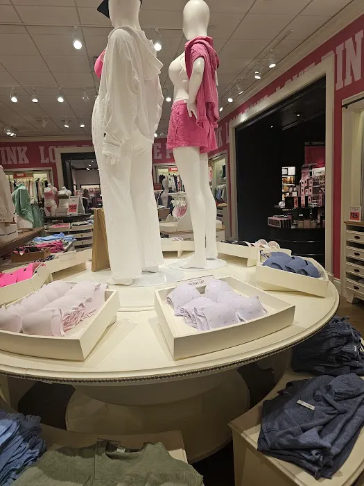 Victoria's Secret & PINK by Victoria's Secret 9