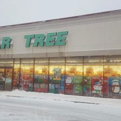 Dollar Tree ico