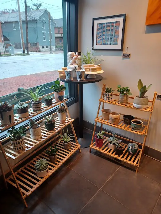 3rd & Sycamore (formerly Tiki Botanicals) 0