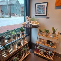 3rd & Sycamore (formerly Tiki Botanicals) ico