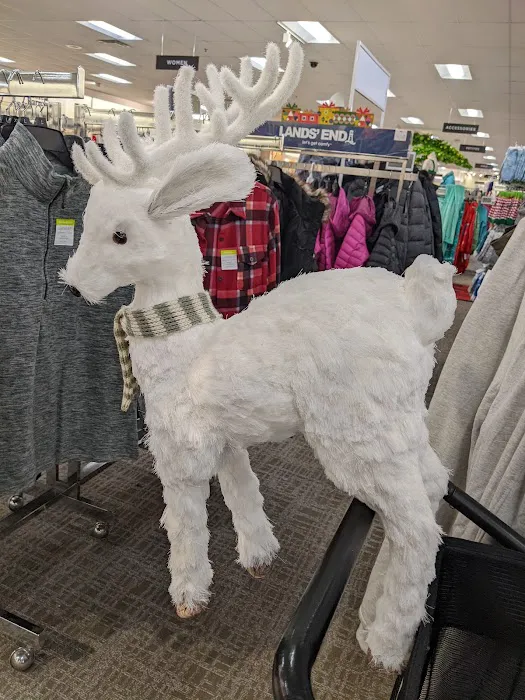 Kohl's 5