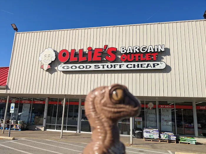 Ollie's Bargain Outlet 6