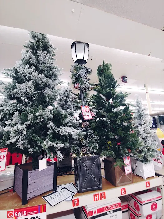 Big Lots 3