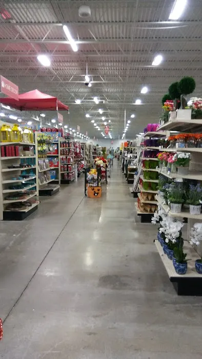 HomeBuys 3