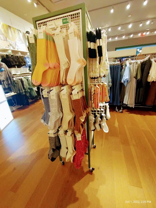 Aerie 6