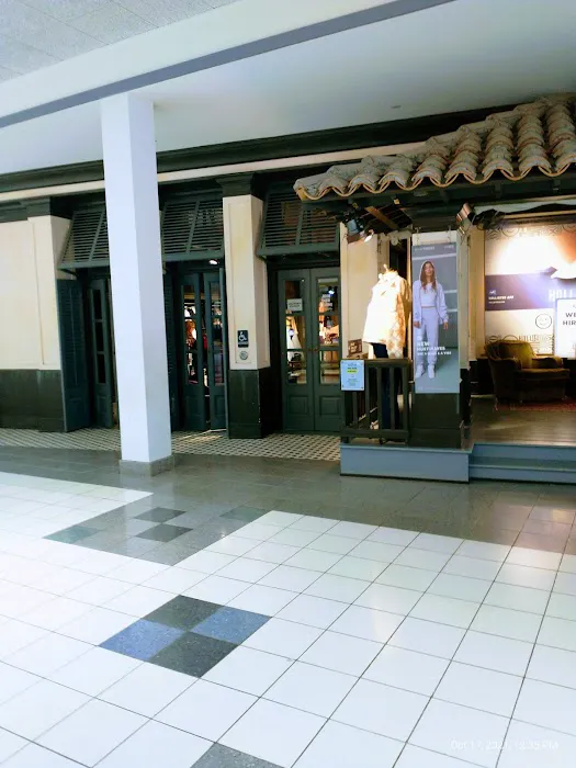 Hollister Co. 0