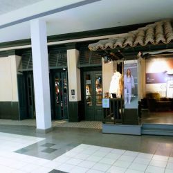 Hollister Co. ico