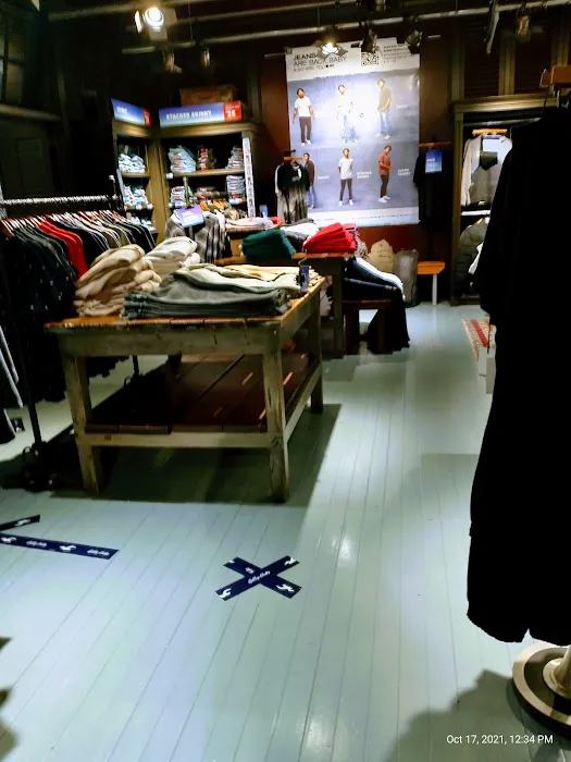 Hollister Co. 3