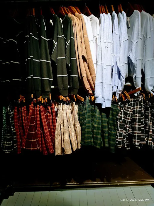 Hollister Co. 4