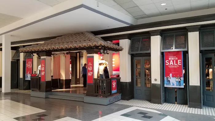 Hollister Co. 6