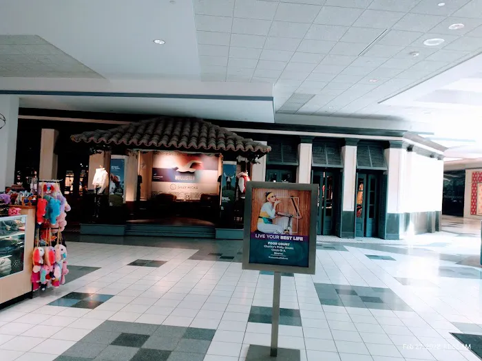 Hollister Co. 8