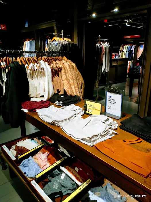 Hollister Co. 9