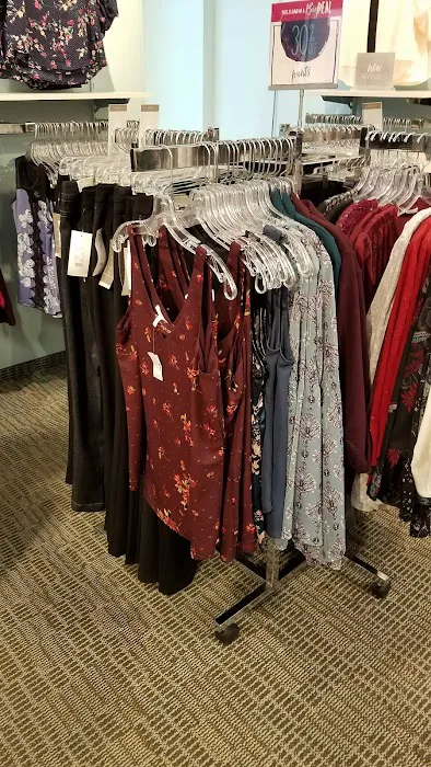 Maurices 6