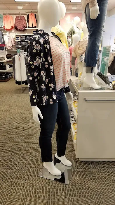 Maurices 9