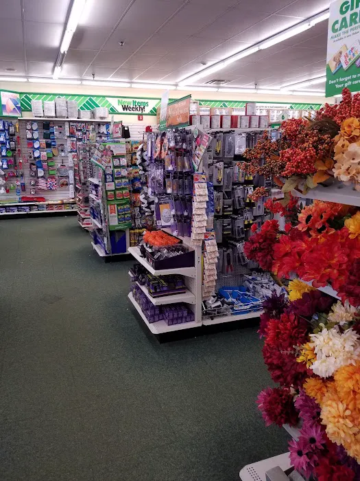 Dollar Tree 2