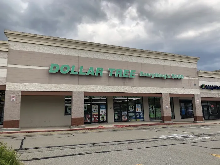 Dollar Tree 9
