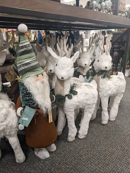 Kohl's 4