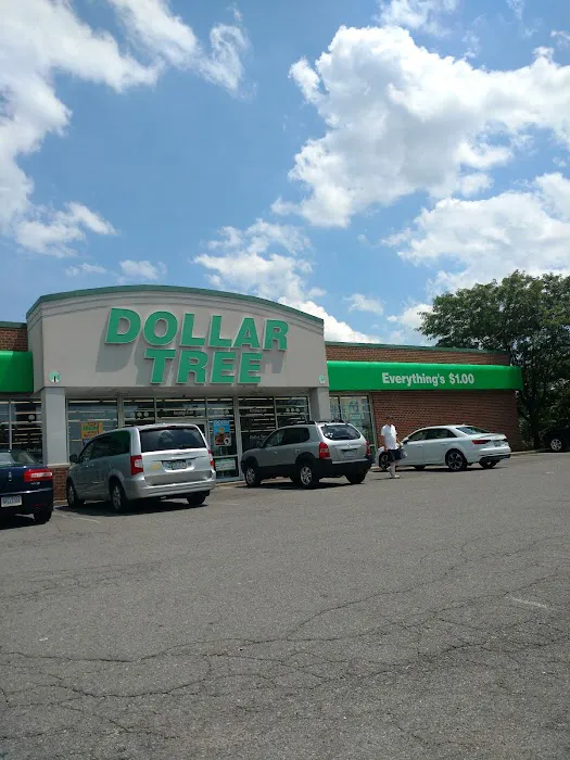 Dollar Tree 2