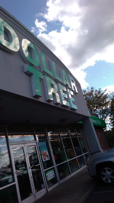 Dollar Tree 9