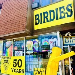 Birdies ico