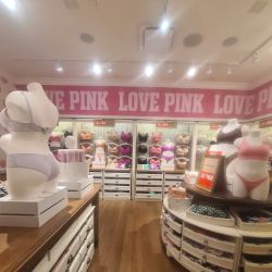 Victoria's Secret & PINK by Victoria's Secret ico